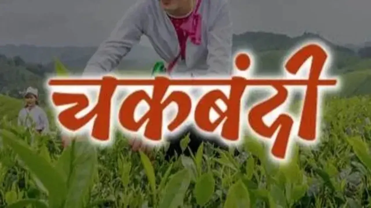 कन्नौज : किसानों और पंचायत सदस्यों ने सीएम को भेजा हलफनामा, चकबंदी निरस्त करने को लेकर उठाई आवाज 