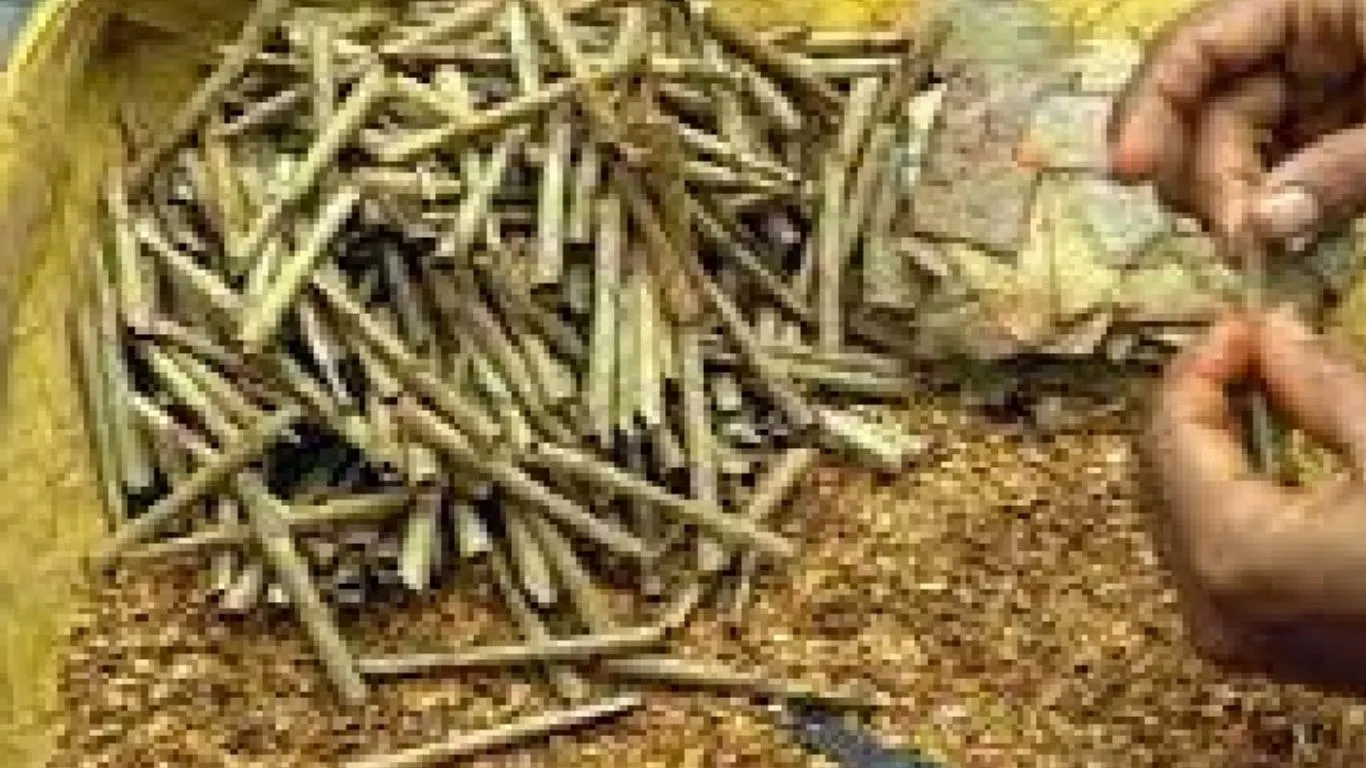 ब्रांडेड बीड़ी का नकली सामान बेचने पर दो थोक विक्रेताओं पर रिपोर्ट, छापेमारी के दौरान मिले 155 बंडल