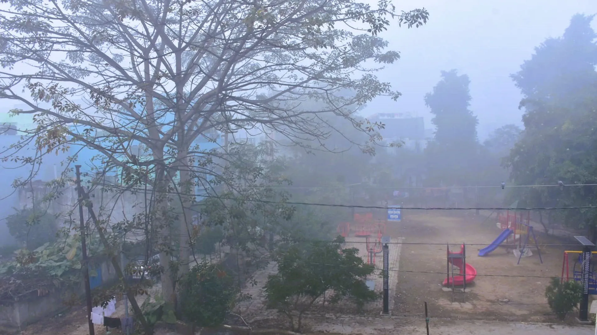 Moradabad: सुबह कोहरे की चादर...दिन में धूप से मिली राहत