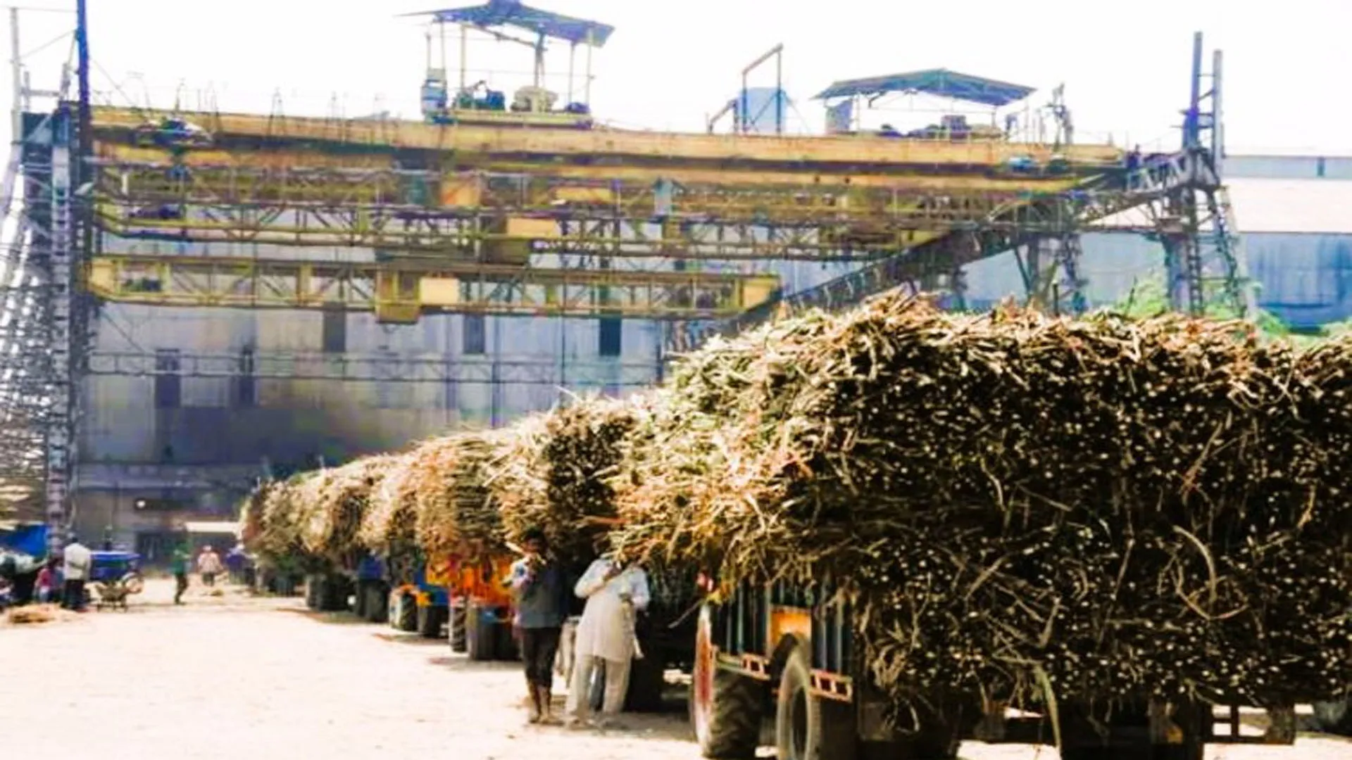 Bareilly: 89 सौ क्विंटल चीनी बेचकर किसानों काे 70.34 करोड़ भुगतान करने की तैयारी