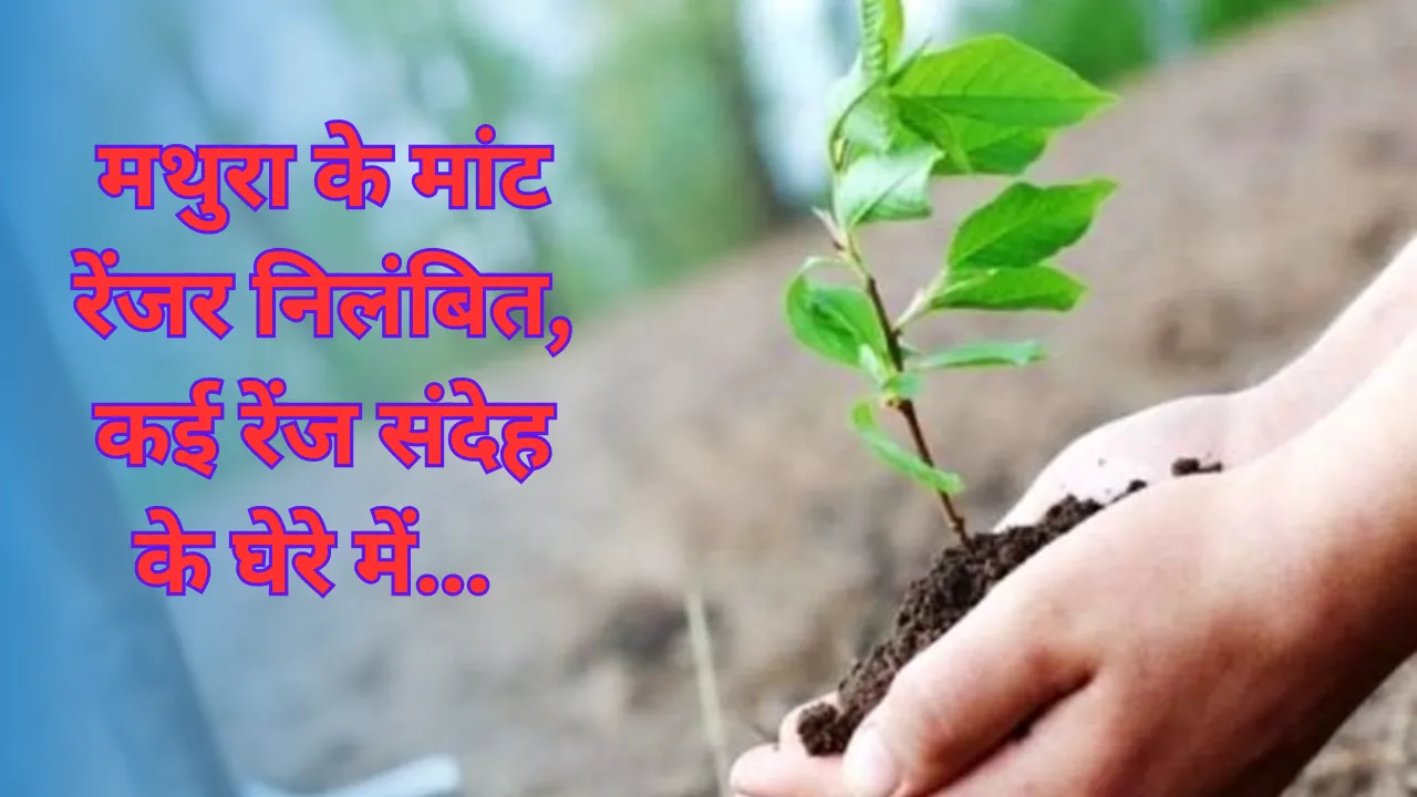 मथुरा के मांट रेंजर निलंबित, कई रेंज संदेह के घेरे में... पौधारोपण में लापरवाही और घोटाले की परतें खुलीं