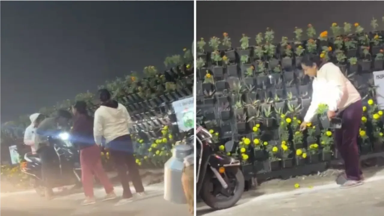 लखनऊ शर्मसार: PM मोदी के जाते ही सजावटी गमलों पर टूट पड़े लोग, वीडियो वायरल होने से मचा हड़कंप!