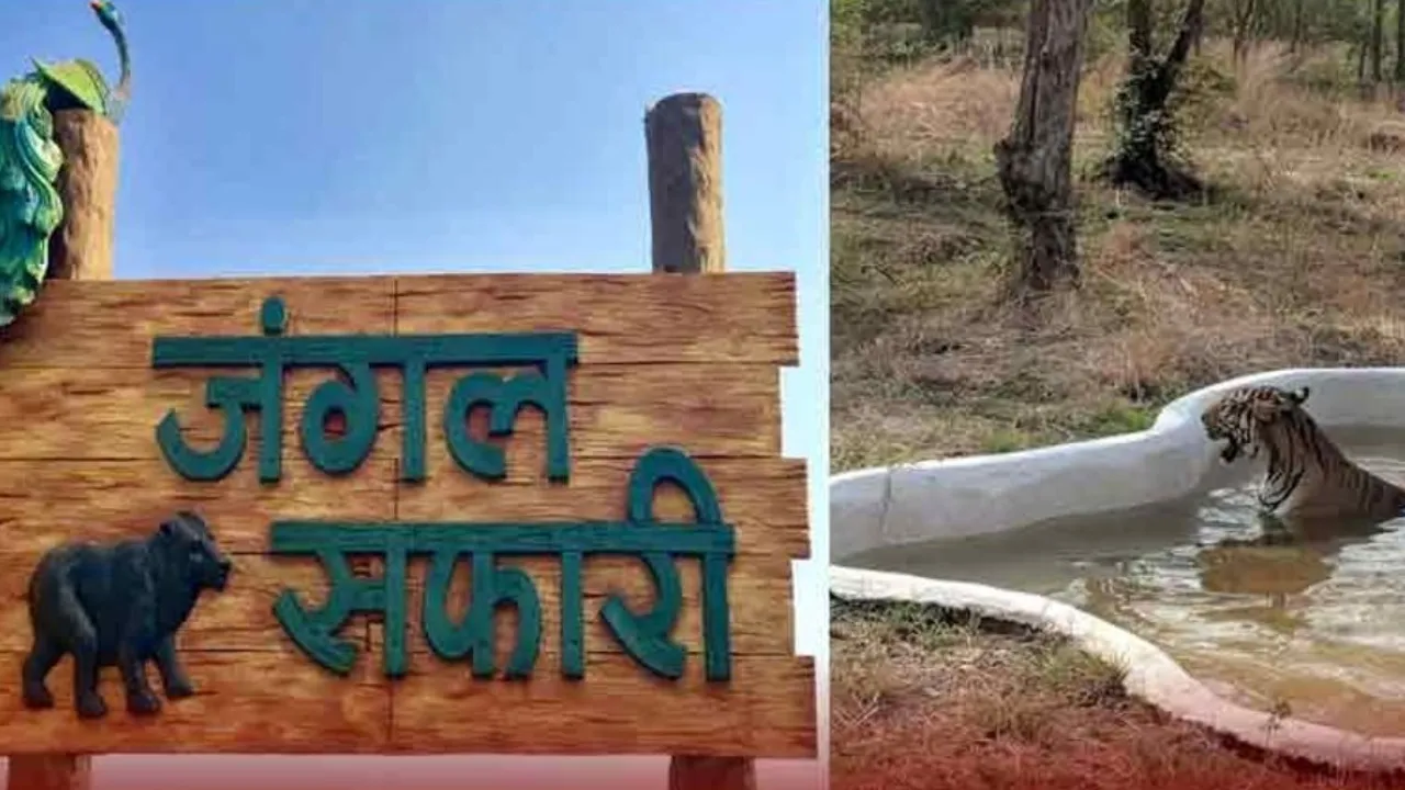 World Wildlife Conservation Day Special: यूपी की जंगल सफारी में नंबर-1 बनने की राह पर! गैंडा-बाघ के साथ कमाई भी, जयवीर सिंह का मेगा प्लान