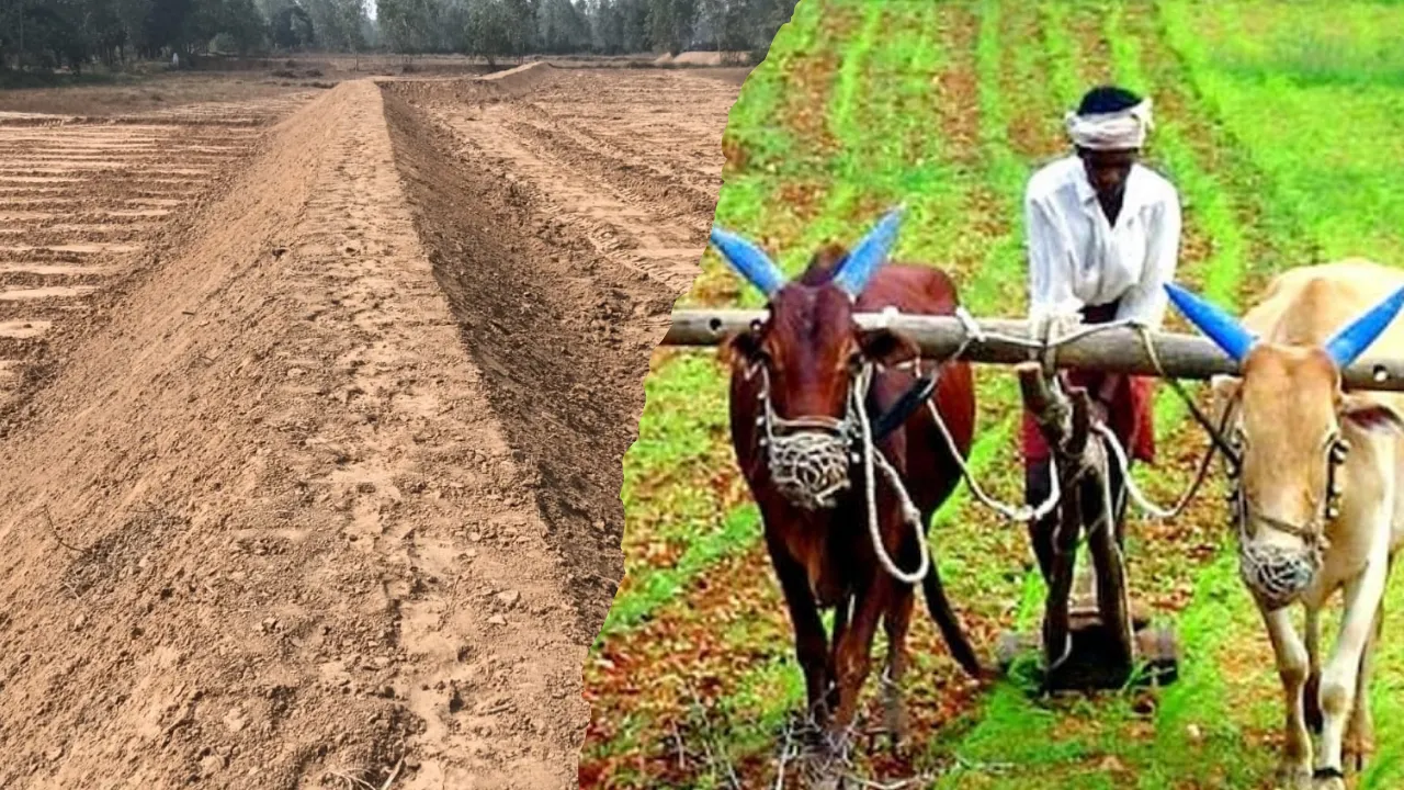 400 हेक्टेयर भूमि सुधारी, बढ़ेगा खेती का रकबा... भूमि संरक्षण विभाग ने आठ परियोजनाओं पर किया समतलीकरण
