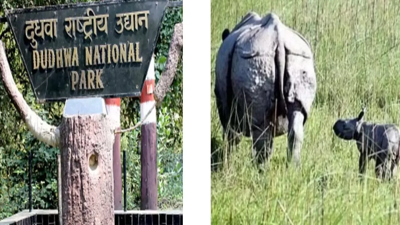 Good News: लखनऊ से दुधवा जाने वाली एसी बस जाएगी गौरीफंटा तक