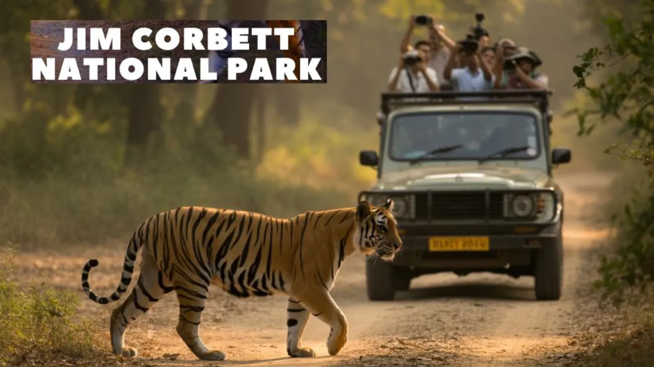 Jim Corbett National Park: नए साल के जश्न से पहले कॉर्बेट पार्क में हाई अलर्ट, वनकर्मियों की छुट्टियां रद्द 