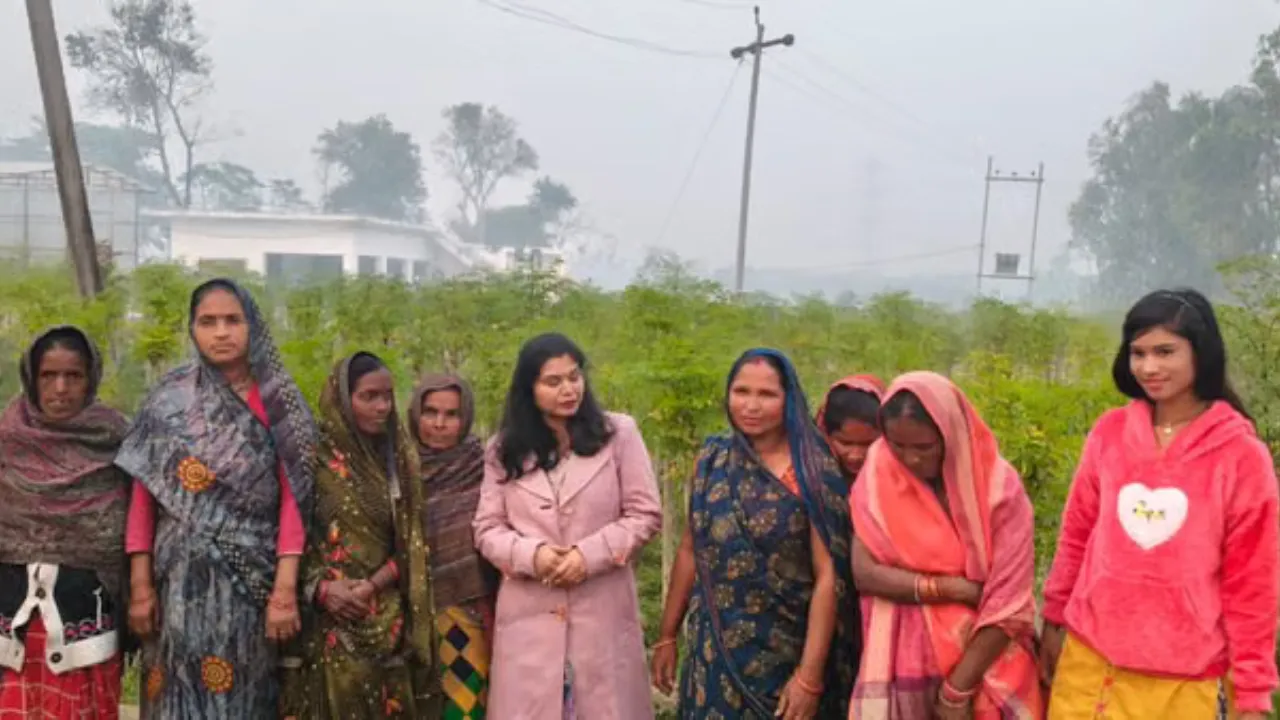 आत्मनिर्भर यूपी की मिसाल: मोरिंगा मॉडल से ग्रामीण महिलाएं बन रही स्वावलंबी, हर महीने कमा रही 10 हजार तक
