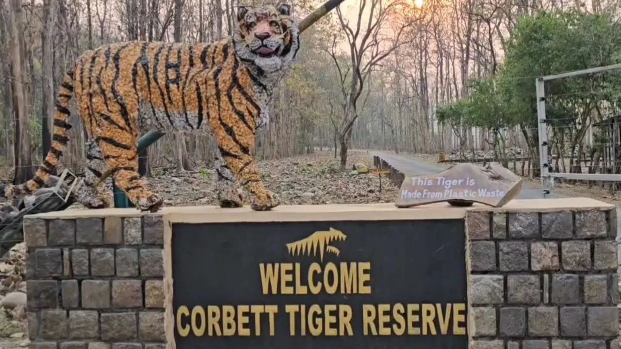 कॉर्बेट में पर्यटकों की रिकॉर्ड भीड़... नए साल से पहले होटल और रिजॉर्ट्स फुल, वन विभाग पूरी तरह सतर्क 