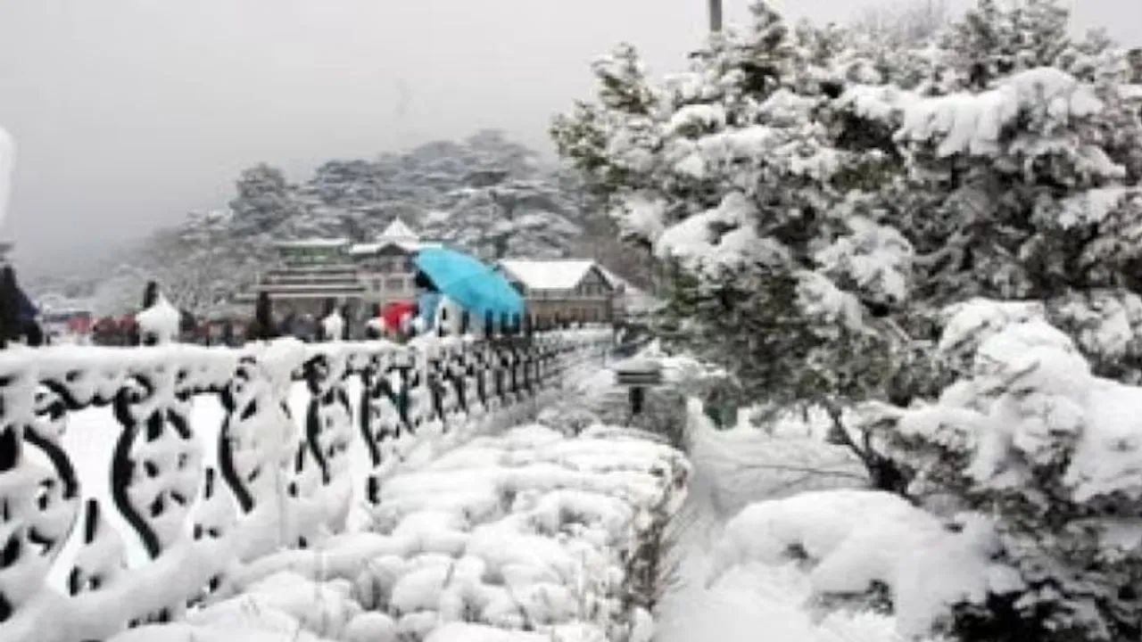 हिमाचल में बर्फबारी...  पहाड़ों पर मौसम ने ली करवट, अगले 5 दिनों के लिए IMD का अलर्ट