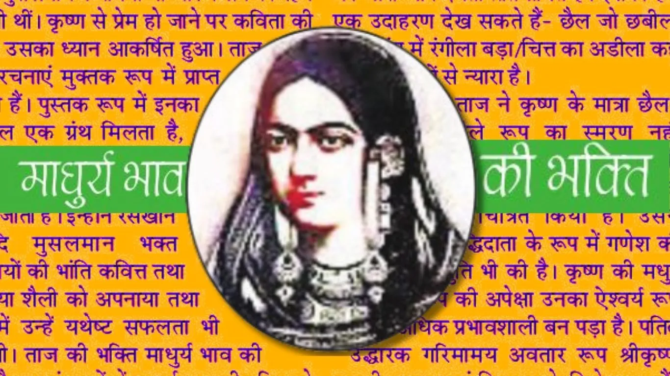 Untitled design (17)