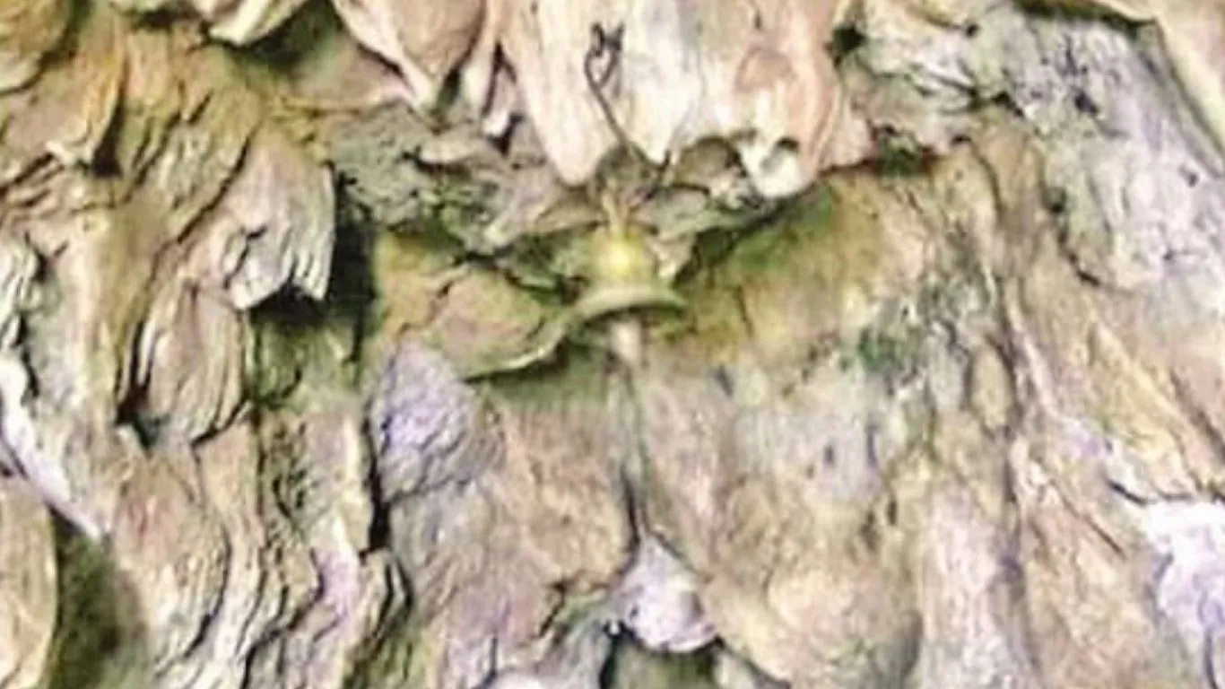 Untitled design (21)