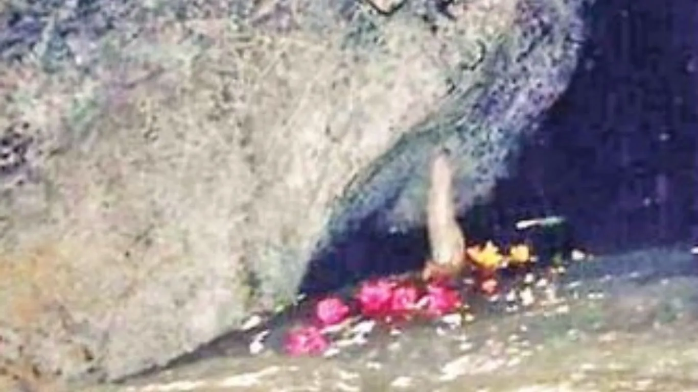 Untitled design (22)