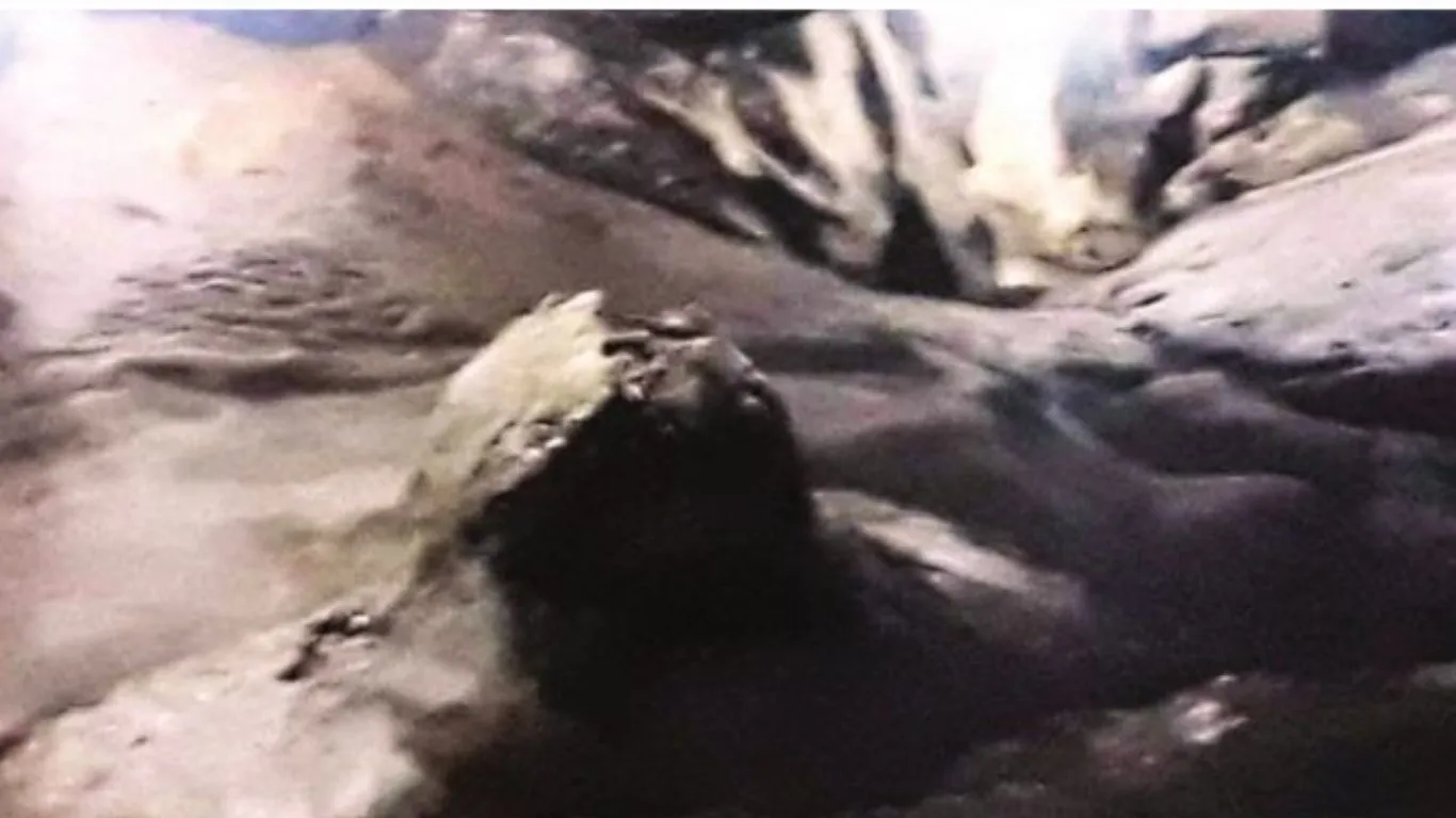 Untitled design (23)