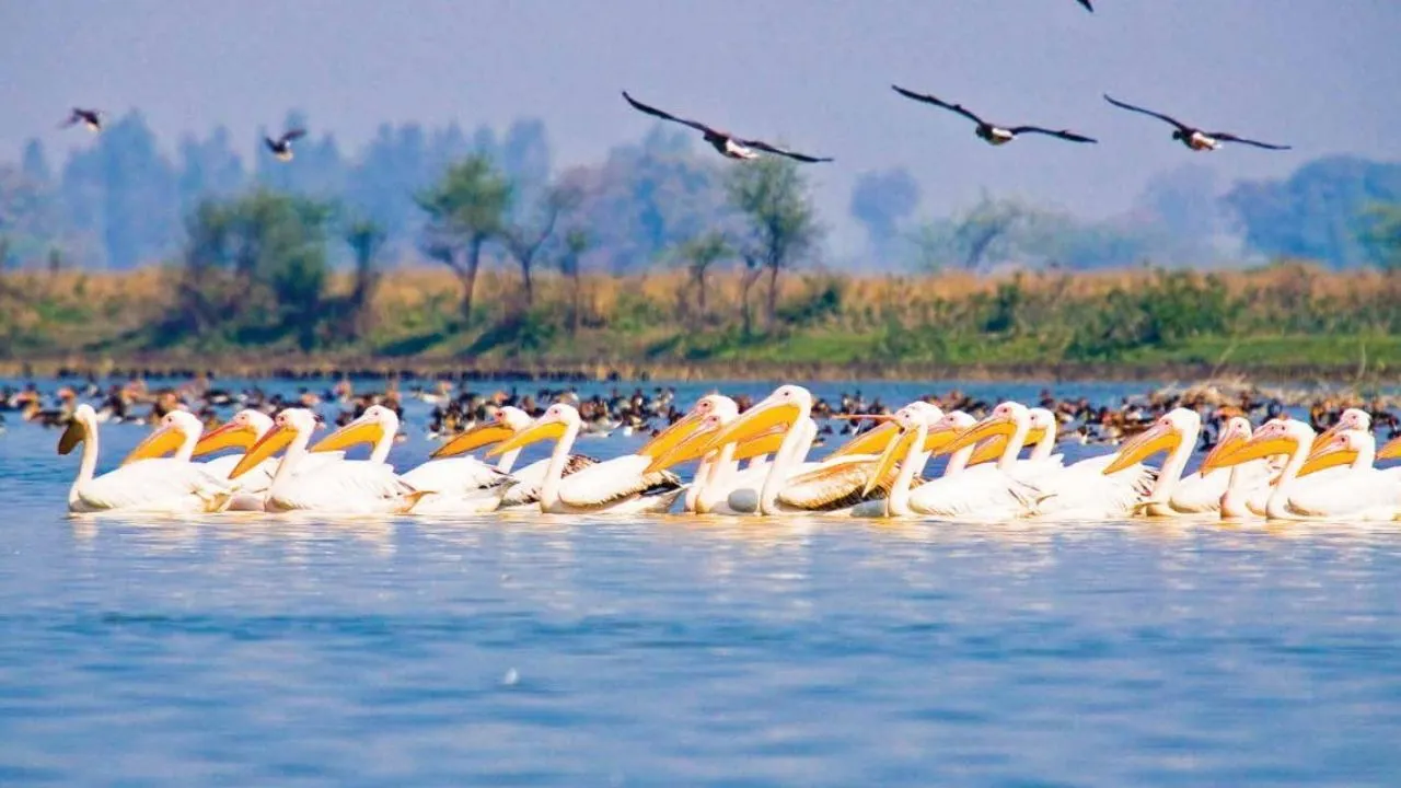 इनबाउंड टूरिज्म का नया केंद्र बनकर उभरेगा लखीमपुर खीरी, शारदा बैराज देगा विकास को गति 