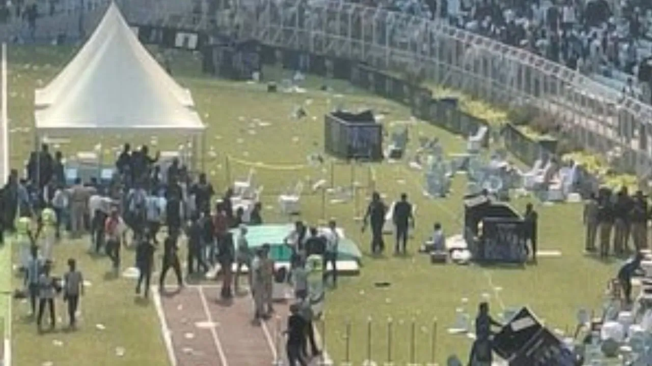 Untitled design (24)