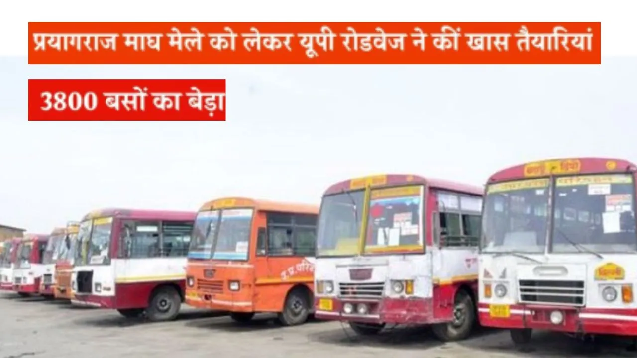  माघ मेला 2026: सुगम-सुरक्षित होगी आवाजाही... परिवहन निगम चलाएगा बड़े स्तर पर बसें