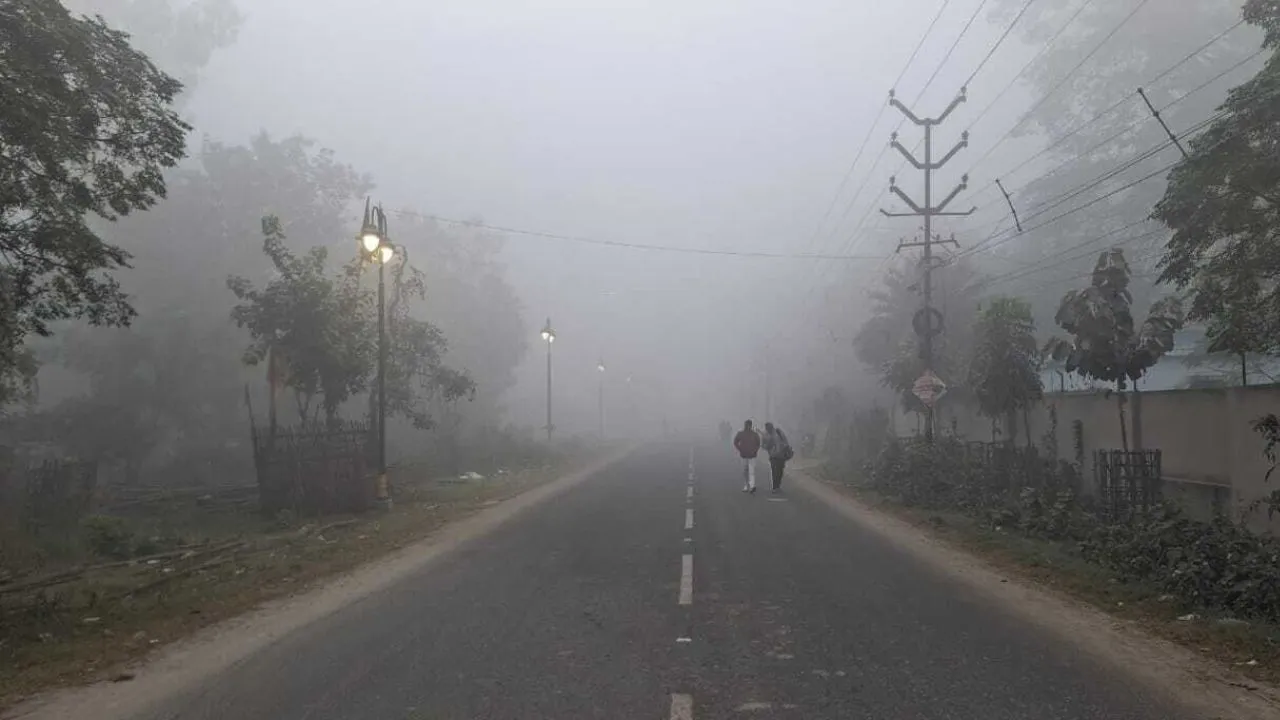 कोहरे में लिपटा प्रयागराज,  सड़कों पर सन्नाटा.. तापमान में भी गिरावट दर्ज