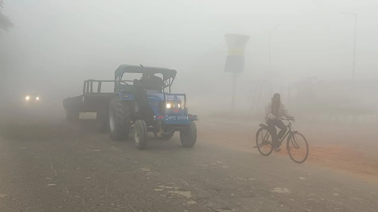 Untitled design (28)