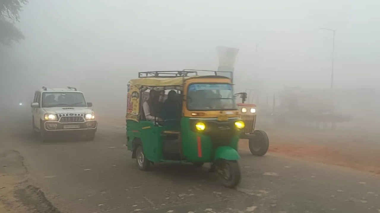 Untitled design (29)