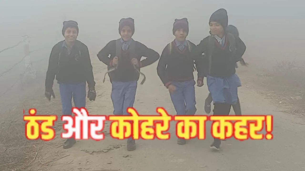  गोंडा में कोहरे का कहर... ठिठुरते हुए स्कूल पहुंचे नौनिहाल, पछुआ हवा के चलते बढ़ी सर्दी