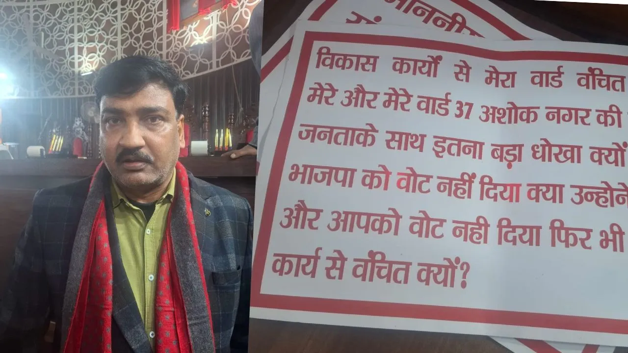 Untitled design (31)