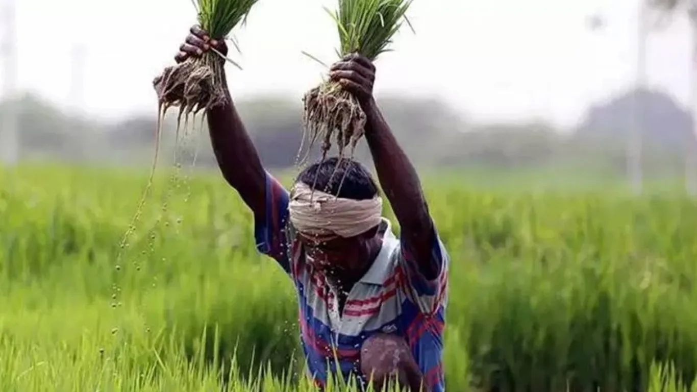  कृषि चौपाल में एक सुर में बोले किसान: जीवन में आया सकारात्मक बदलाव, आत्मनिर्भर बनाने को सरकार ने उठाया अभूतपूर्व कदम