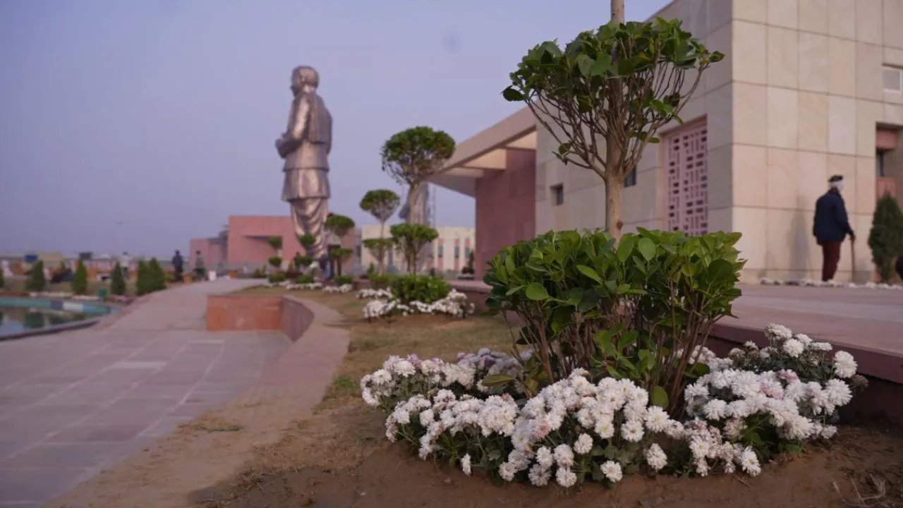 Untitled design (53)