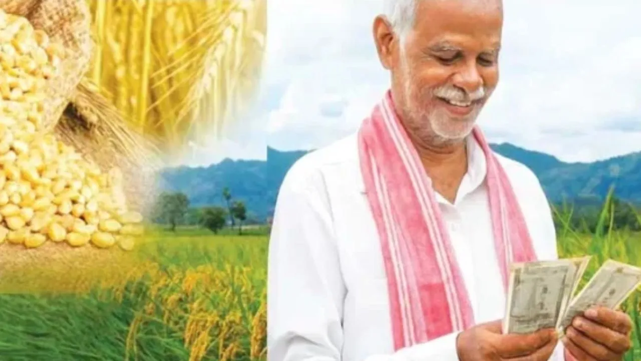 यूपी के किसानो को राहत: खरीफ में बारिश से बर्बाद फसलों का बढ़ा क्लेम, 2.50 लाख किसानों को 200 करोड़ क्षतिपूर्ति