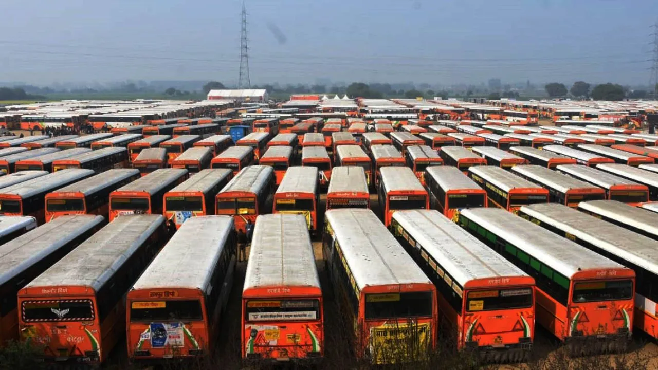 Untitled design (62)