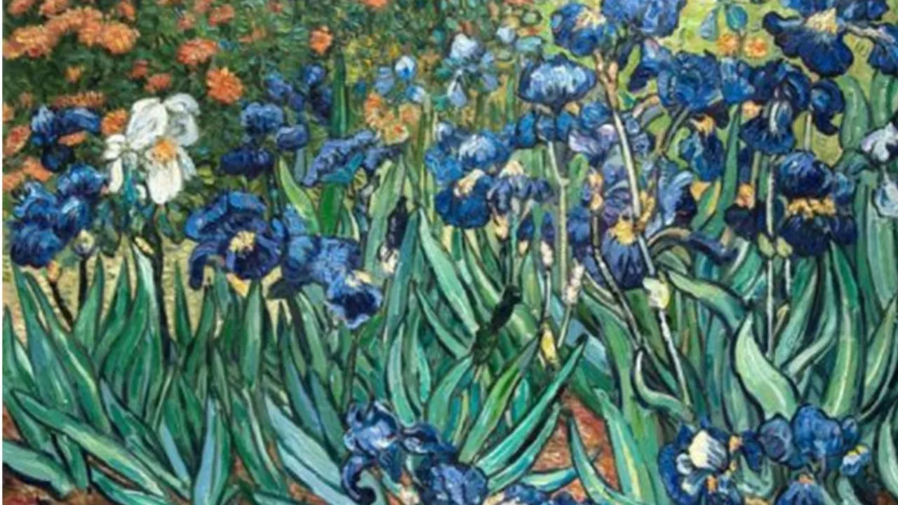 आर्ट गैलरी:  विंसेंट वान गॉग की पेंटिंग आइरिस