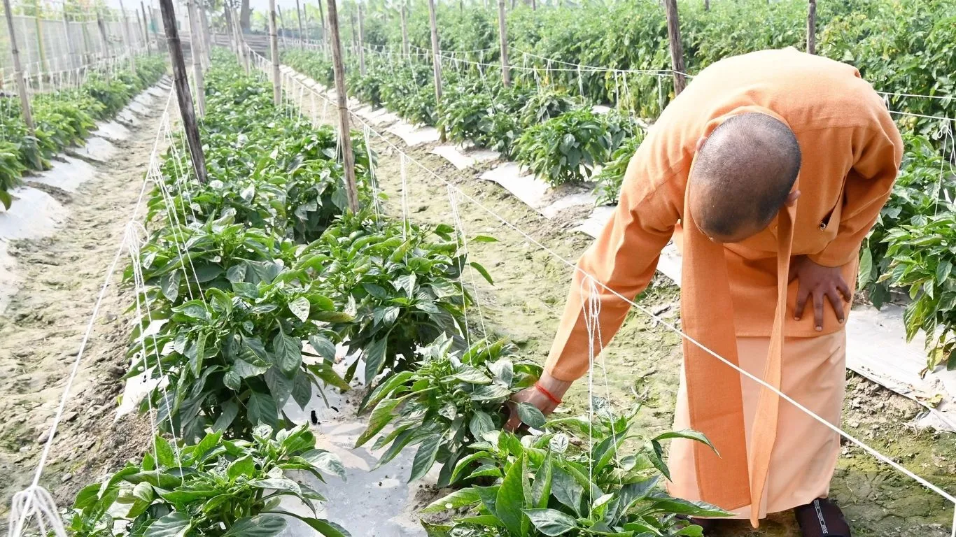 Untitled design - 2025-12-12T154812.552