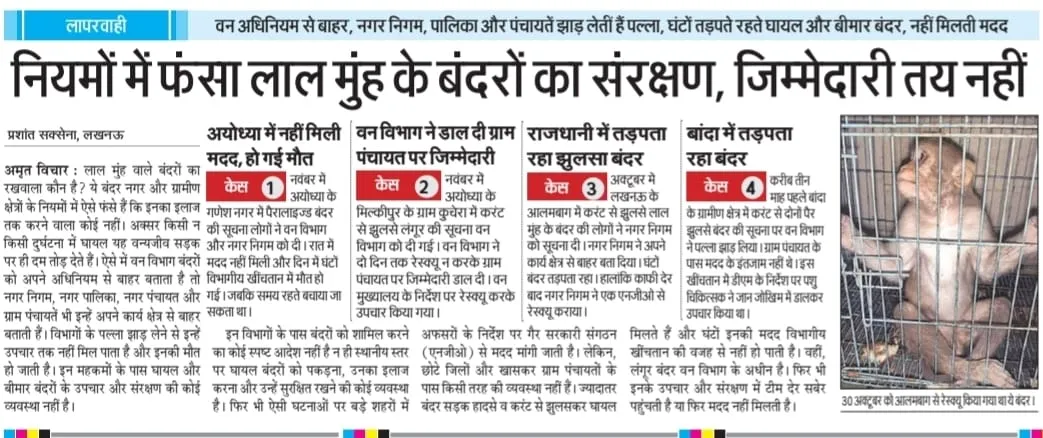 समाचार पत्र