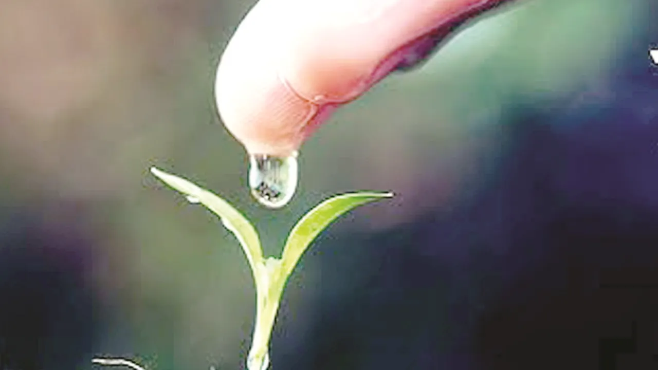  पुरुषार्थ : मानव जीवन का मूल्याधारित लक्ष्य-संधान