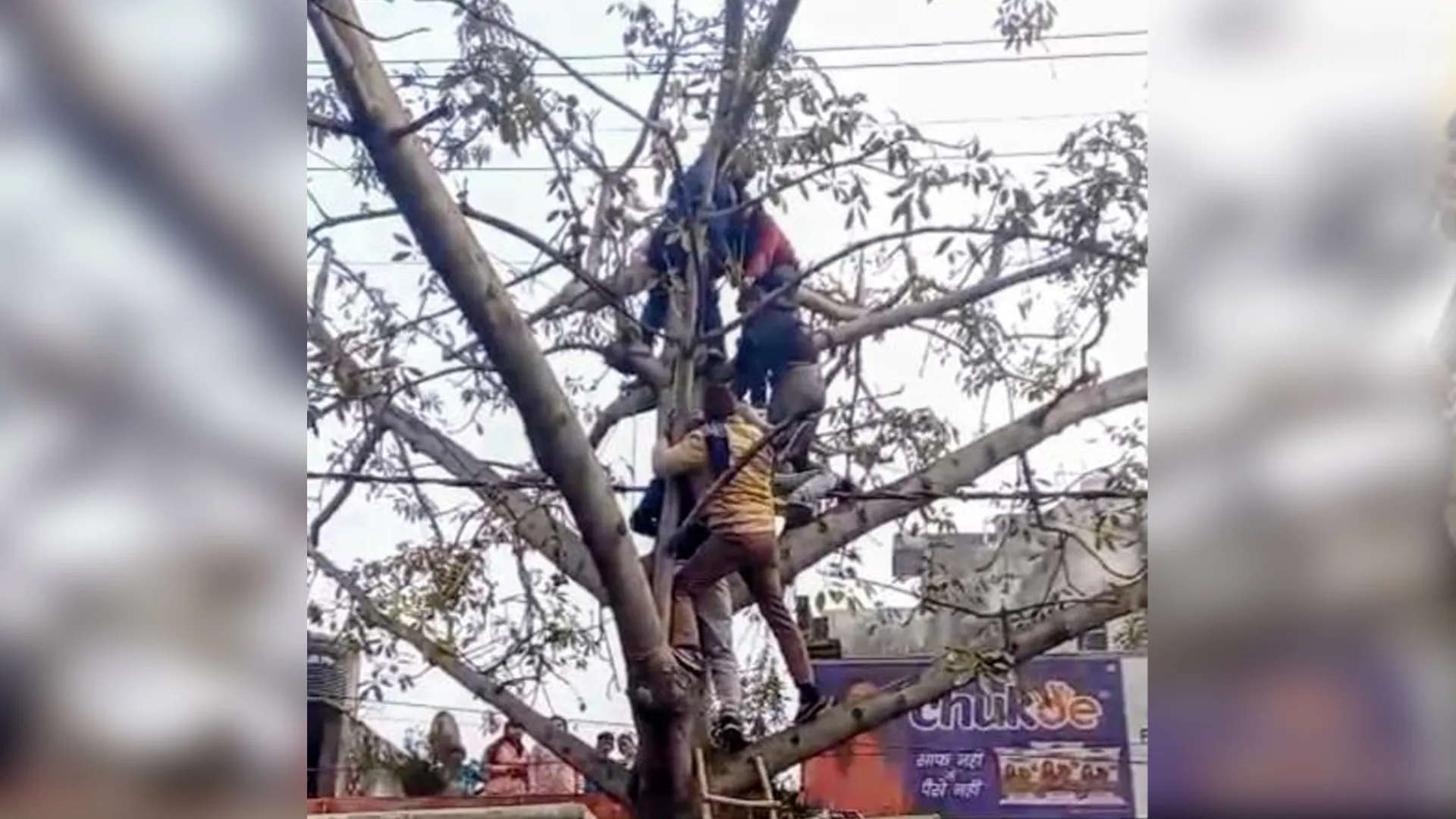 Moradabad : हाईटेंशन लाइन की चपेट में आकर संविदा कर्मचारी की मौत