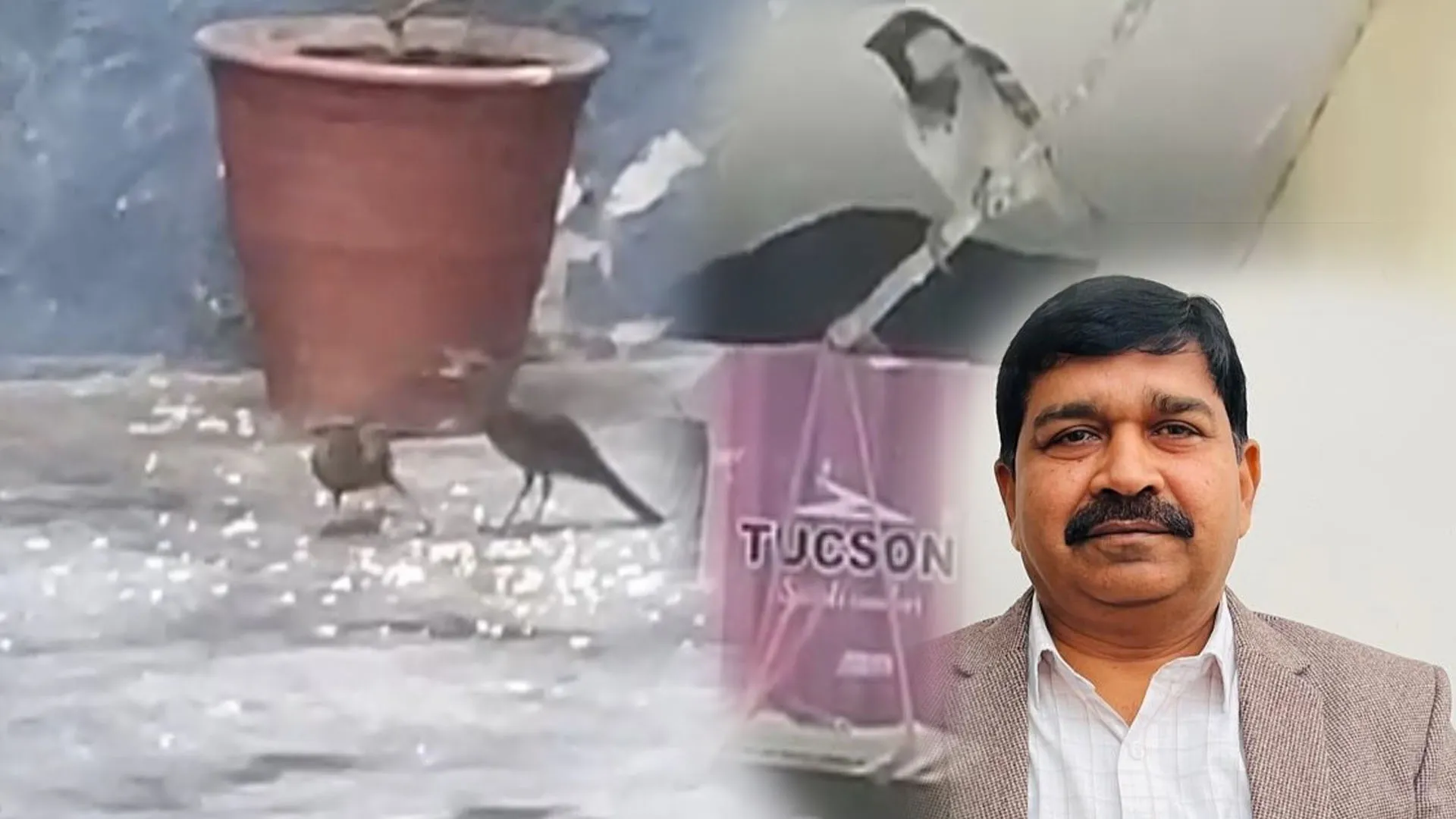  राष्ट्रीय पक्षी दिवस: पक्षियों की चहचहाहट से गूंज रहा डॉ. जावेद का घर-आंगन