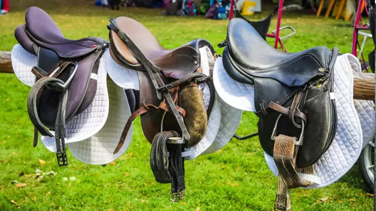 कानपुर : घुड़सवारी के उत्पादों का बढ़ा बाजार, 30 करोड़ का ऑर्डर मिलने की उम्मींद