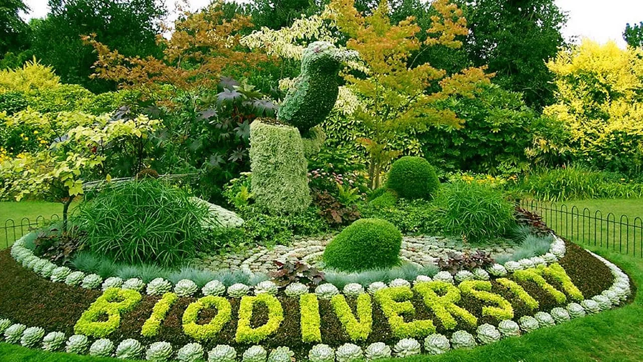 लखनऊ : गोमती बायो-डायवर्सिटी पार्क में बनेगी बर्ड एवियरी, प्रस्तावित परियोजनाओं को मण्डलायुक्त ने दी मंजूरी