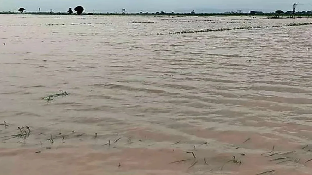 बाराबंकी : मोहम्मदपुर खाला में 17 बीघे फसल जलमग्न, किसानों को बड़ा नुकसान