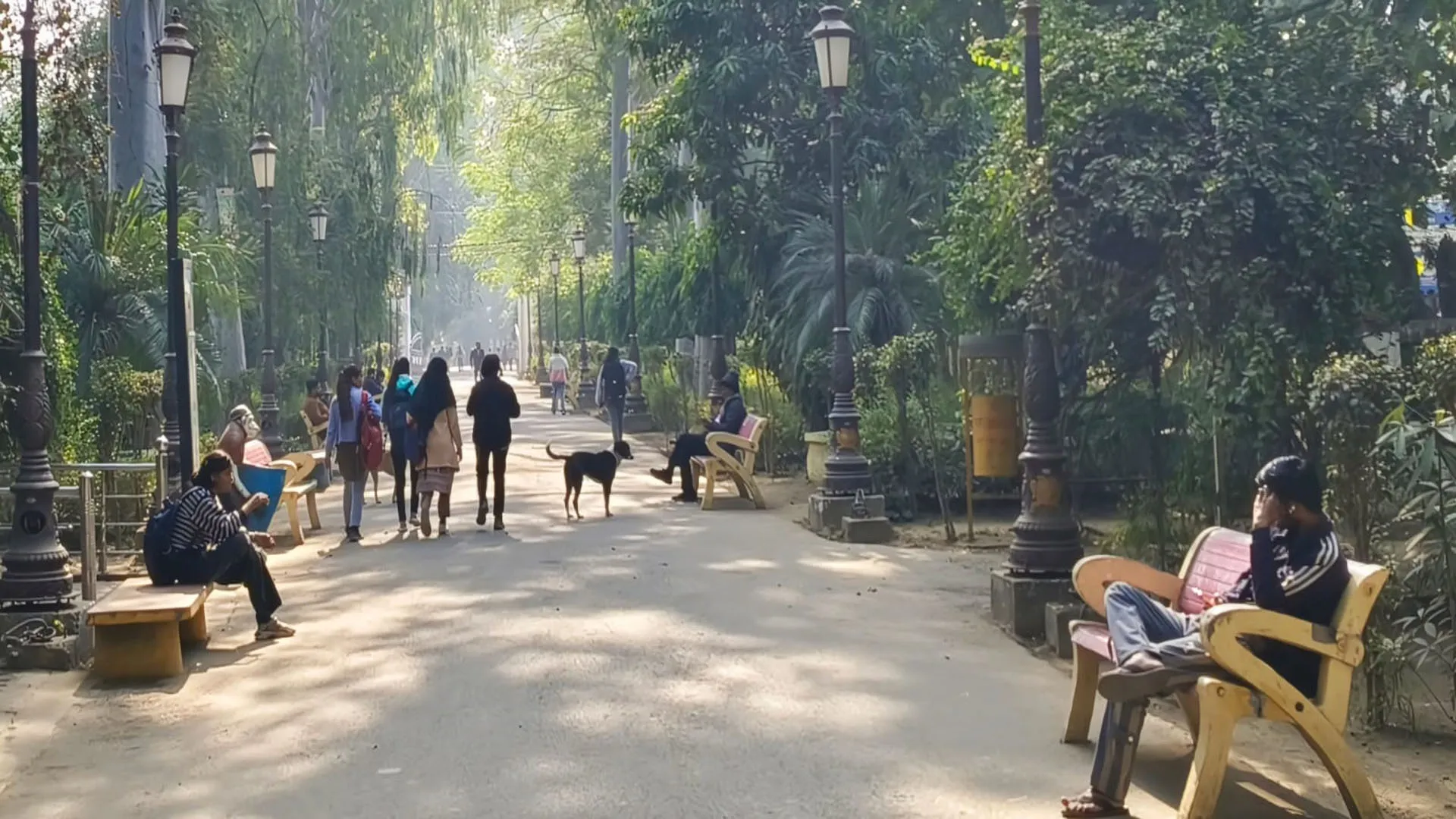 Bareilly: चटक धूप से चढ़ा पारा, दिन भर खुशनुमा रहा मौसम