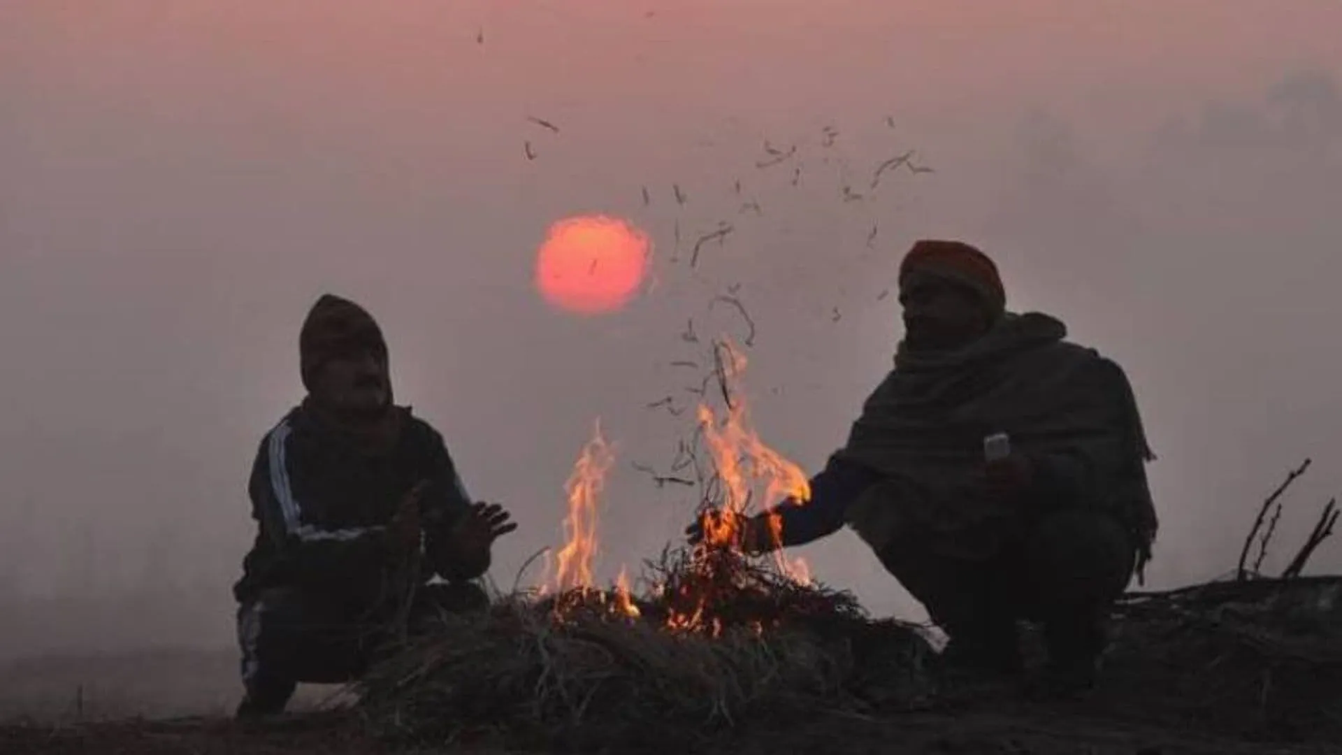 Moradabad: शीतलहर ने पैदा की ठिठुरन, मौसम विभाग का अनुमान...पाला भी कर सकता है सितम 
