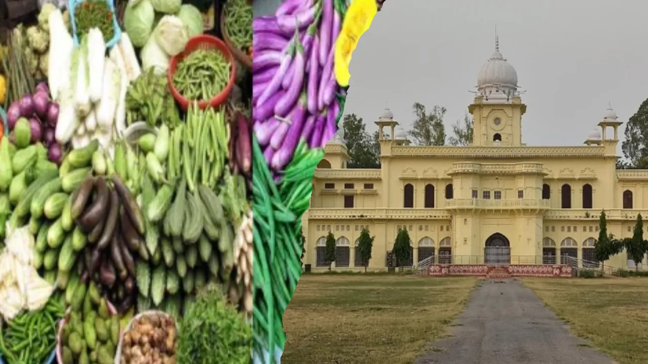 सब्जियों में मौजूद आर्सेनिक बना रहा कैंसर का मरीज, लखनऊ विश्वविद्यालय के वनस्पति विभाग के रिसर्च में हुआ खुलासा, जानें कैसे करें बचाव