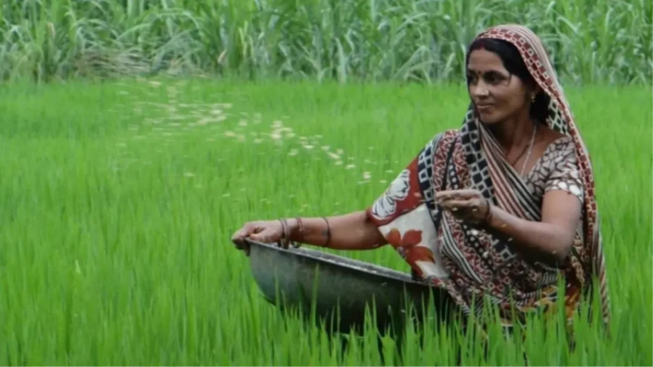 इटावा की मंत्रवती:  स्ट्रॉबेरी, ड्रैगनफ्रूट और रागी से सालाना हो रही 3 लाख की कमाई, गणतंत्र दिवस पर दिल्ली में बनेंगी विशेष अतिथि