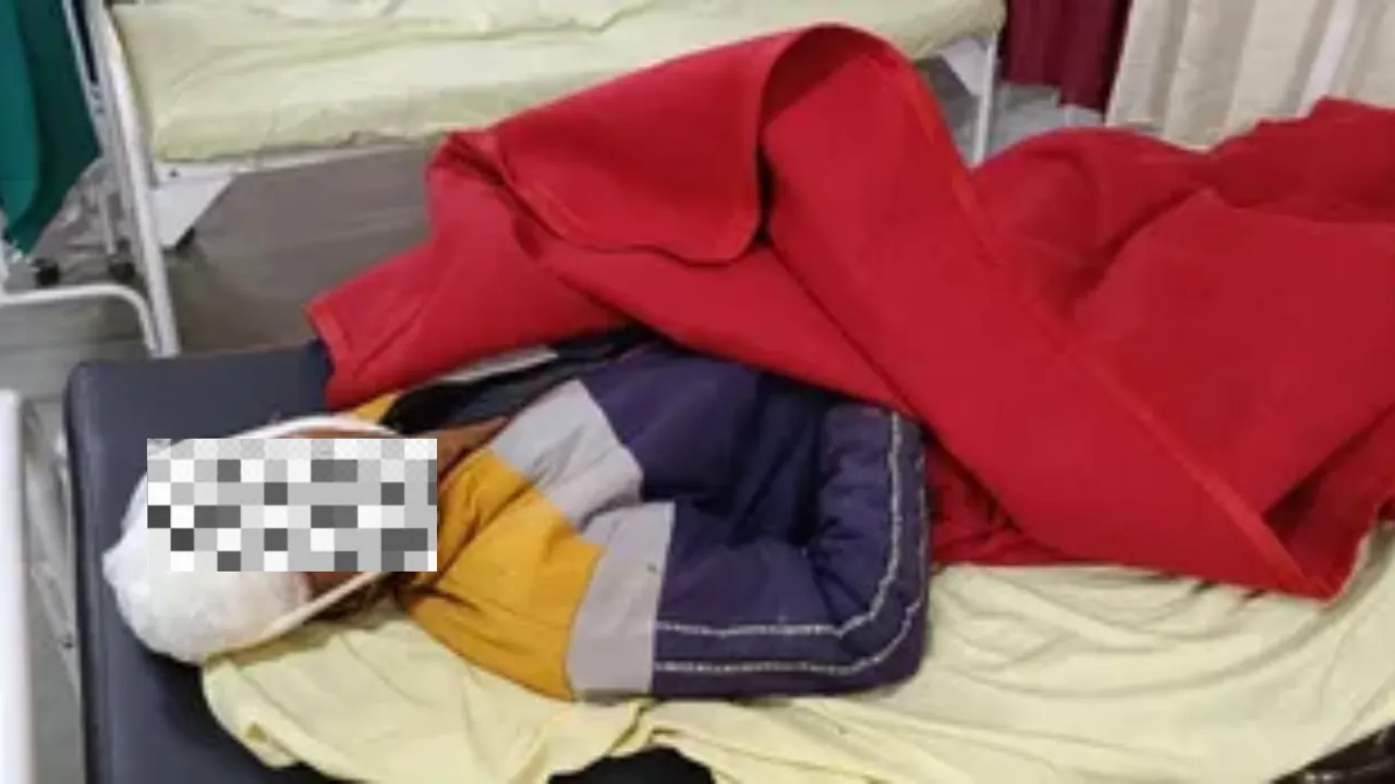 बलरामपुर में डीसीएम और ई-रिक्शा की टक्कर में दो यात्रियों की मौत, तीन अन्य घायल 