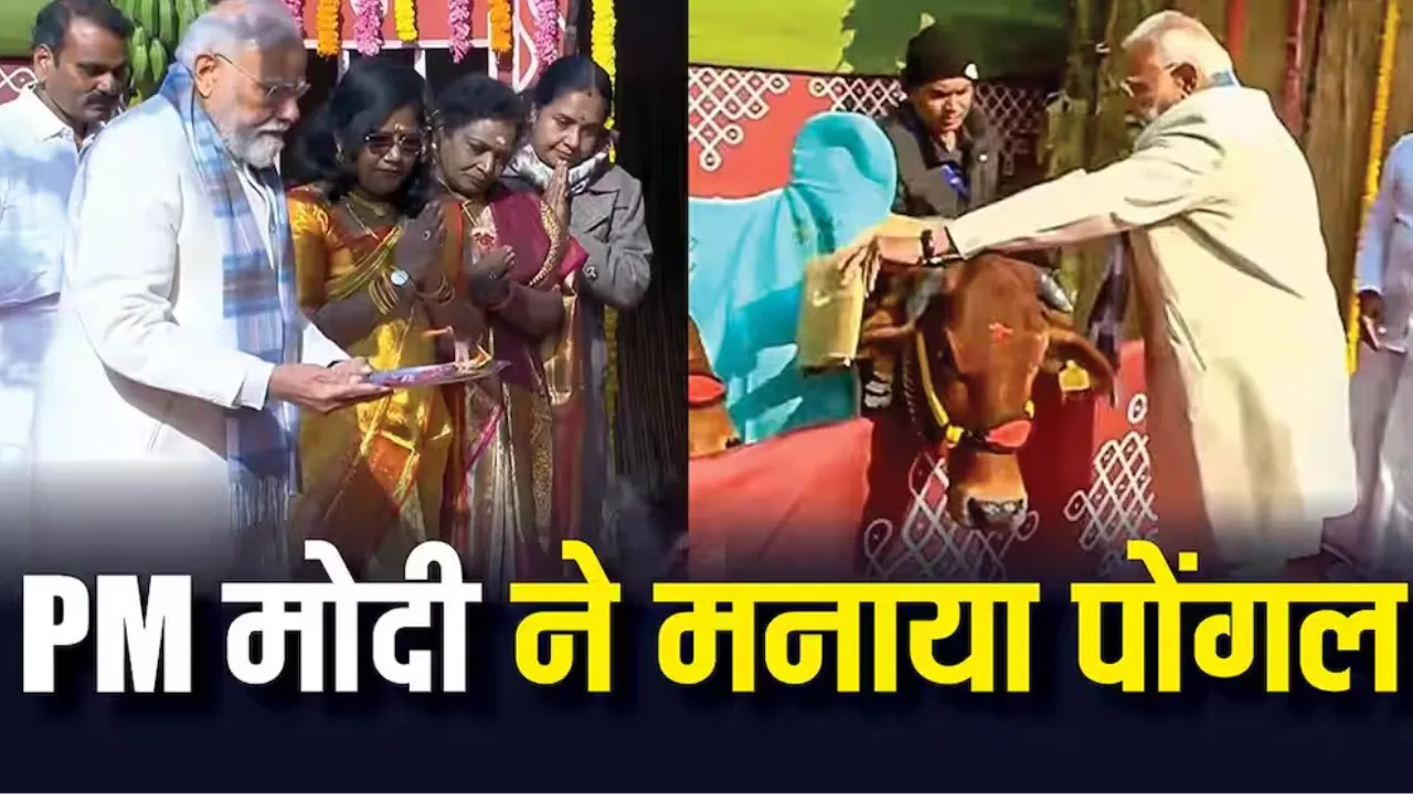 पोंगल पर्व में शामिल हुए मोदी, कहा- प्रकृति के संरक्षण की प्रेरणा देता है यह त्यौहार 