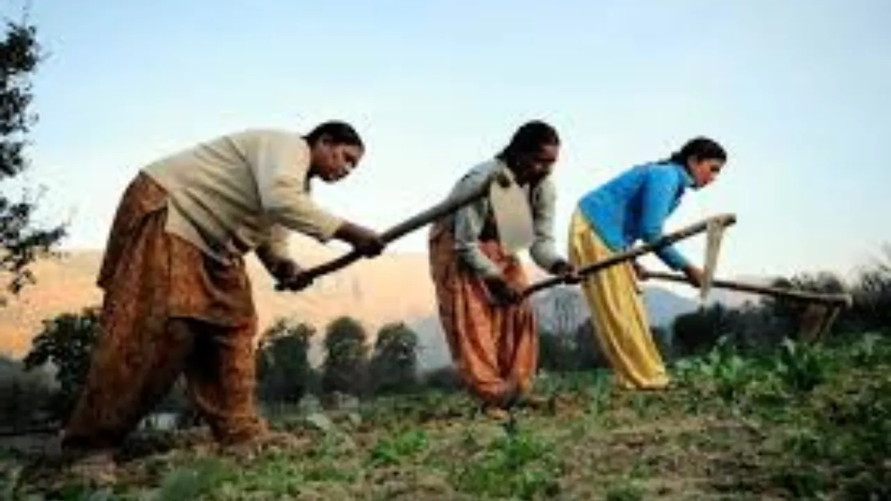 गांव-गांव पहुंचेगी मॉडर्न फार्मिंग, 26 हजार कृषि आजीविका सखियां बदल रहीं खेती के तरीके