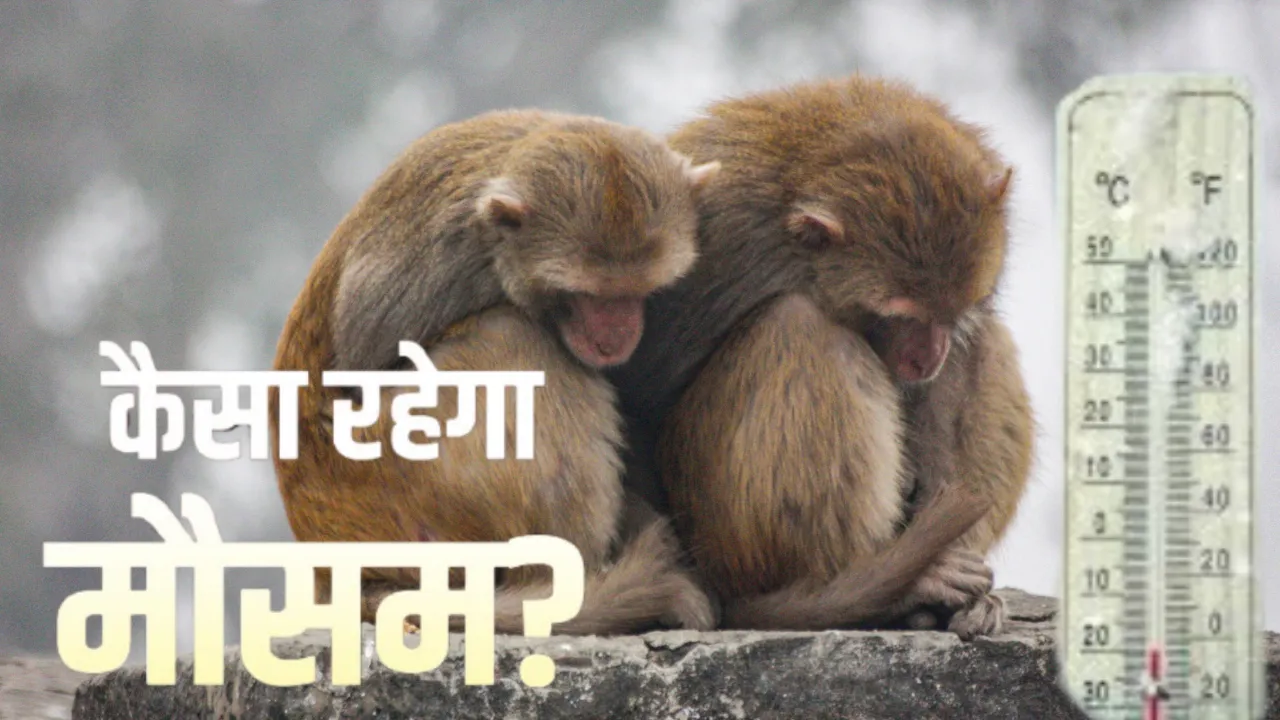 UP Weather Update: उत्तर प्रदेश में कड़ाके की ठंड का कहर... मुजफ्फरनगर रहा सबसे ठंडा, लखनऊ में सीजन का सबसे कम 5.6 डिग्री दर्ज, जानें अन्य का हाल