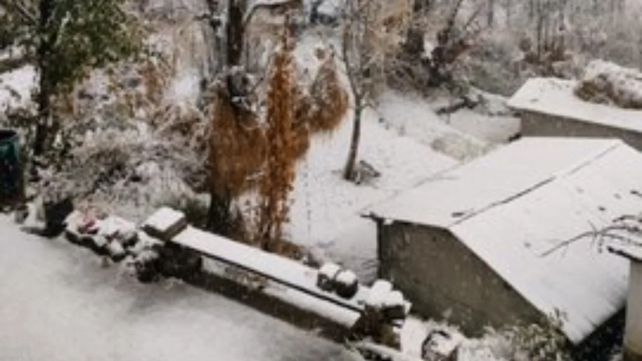 India Weather Forecast : उत्तर भारत में शीतलहर का कहर फिर शुरू... पड़ेगी कड़ाके की ठंड, IMD ने जारी किया अलर्ट