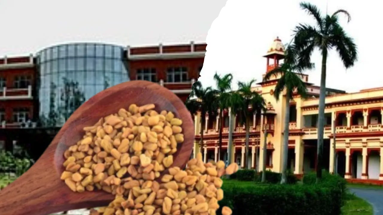 डायबिटिक घावों का 'चमत्कारी' इलाज! आईआईटी-बीएचयू और आईएमएस की टीम का मेथी-प्रोटीन हाइड्रोजेल क्रांति लाएगा