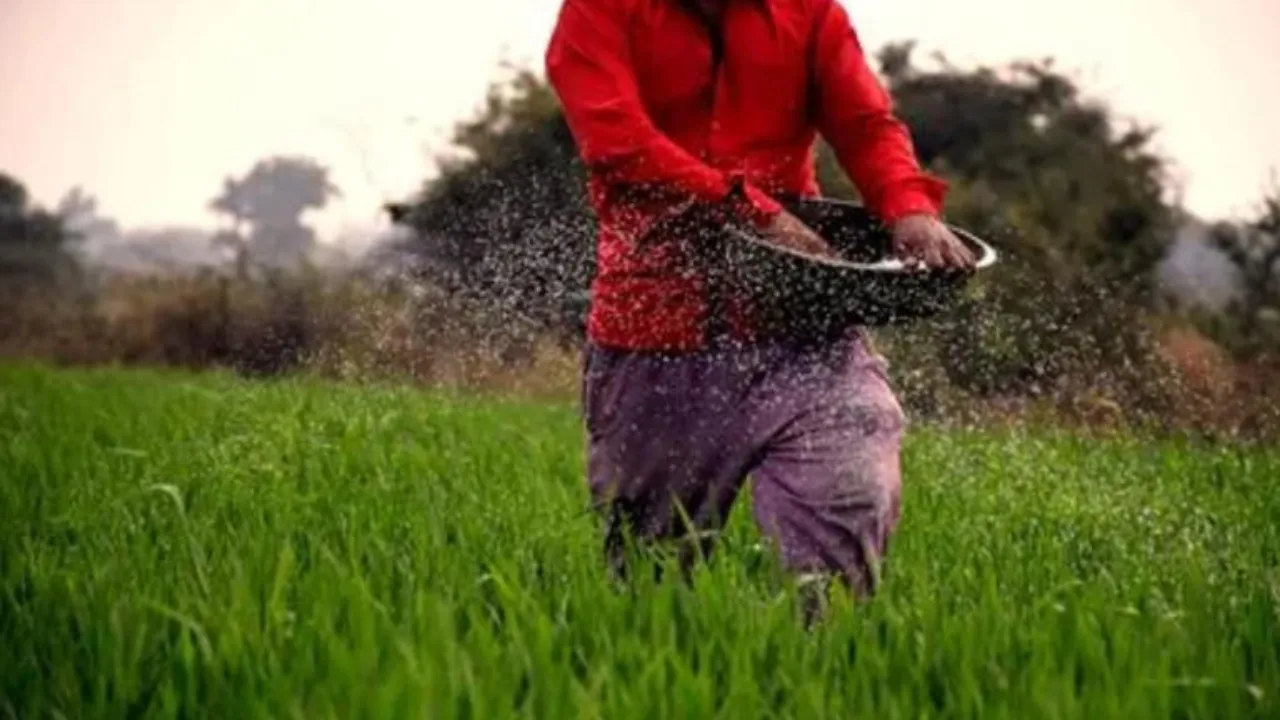यूरिया कंपनी नहीं बेच पाएंगी अन्य उर्वरक, टैगिंग को लेकर सरकार ने प्रदेश में लगाया प्रतिबंध