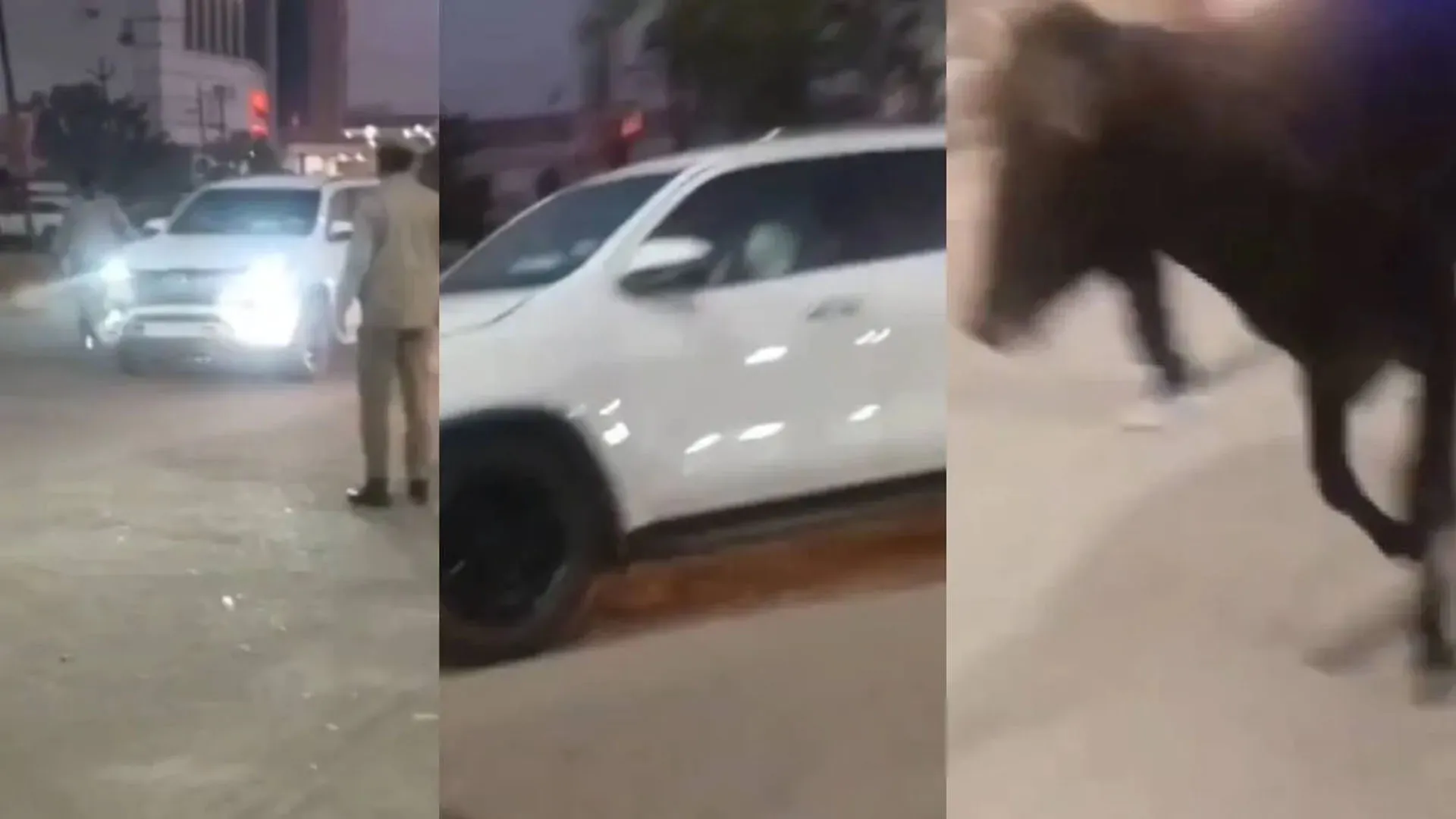 Bareilly: कार से टकराया छुट्टा गोवंश , बाल-बाल बचे डिप्टी सीएम केश प्रसाद मौर्य